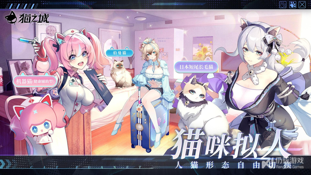 猫之城