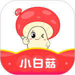 小白菇2024版