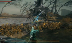 《艾尔登法环》接肢贵族后裔boss介绍