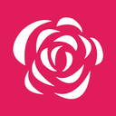 飘雪直播纯净版