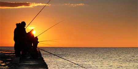 钓鱼资讯分享手机软件合集