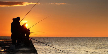 钓鱼资讯分享手机软件合集