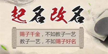 专业的起名