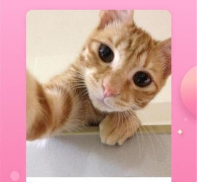 视频变老特效手机软件合集