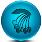 蓝莓直播7000tv版