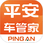 平安车管家