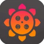 xrk向日葵完整版