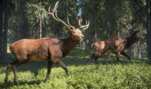 Epic喜加一！《猎人：荒野的召唤》免费领取地址