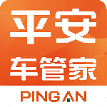 平安车管家