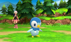 《宝可梦：明亮珍珠晶灿钻石》波加曼宝可梦图鉴一览