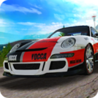 最终拉力赛无限金币版