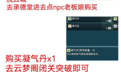 绯色修仙录快速突破金丹方法攻略