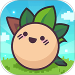 大头菜菜历险记