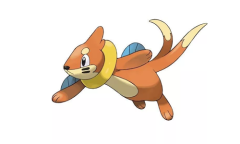 《宝可梦：明亮珍珠晶灿钻石》泳圈鼬宝可梦图鉴一览