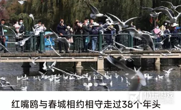 分享新闻赚钱的手机软件合集