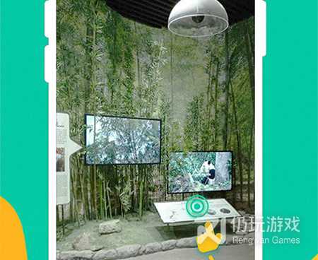 熊猫视频手机软件合集