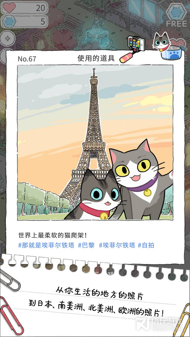 猫友圈猫咪的旅行