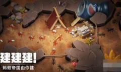 《蚁族崛起》30万钻石兑换码一览