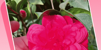 高清影音播放手机软件合集