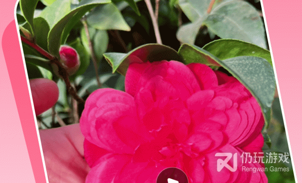 高清影音播放手机软件合集