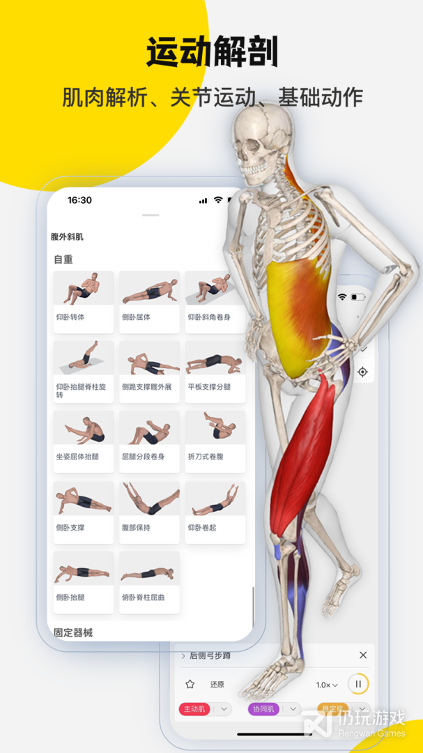 3DBody解剖