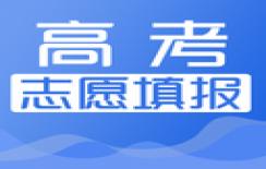 高考志愿填报服务