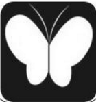 蝴蝶直播永久版