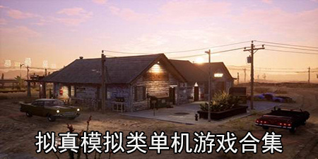 拟真模拟类单机游戏合集