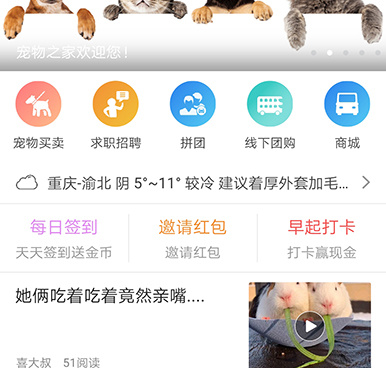 猫咪对话翻译器手机软件合集
