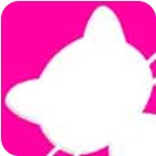 猫咪视频1.0.2版