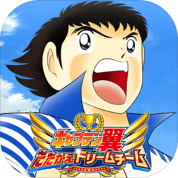 足球小将翼梦幻队伍