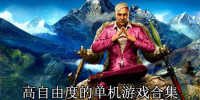 高自由度的单机游戏合集