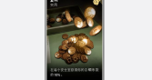 《喋血复仇》复利卡牌介绍