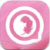 陌趣直播免费版