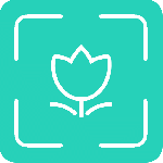 拍图识物最新版