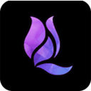 午夜兰花直播午夜版