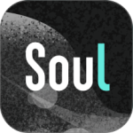 soul单机版