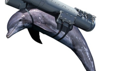 强悍新舰上线 全新战役《巅峰战舰》7月版本重磅降临