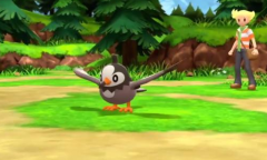 《宝可梦：明亮珍珠晶灿钻石》左转台座XL介绍