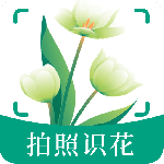 花草识别