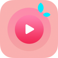 荔枝影视大全历史版