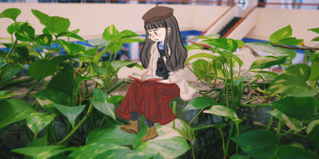 女性向小说阅读平台手机软件合集