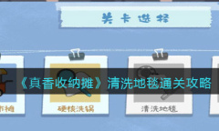 真香收纳摊清洗地毯如何通关