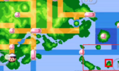 口袋妖怪究极绿宝石5.5极巨菇菇怎么获得