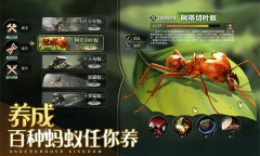 《小小蚁国》亚服怎么登录