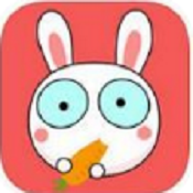 初恋直播纯净版