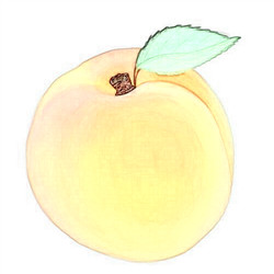 黄桃影视纯净版