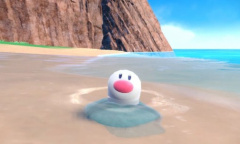 《宝可梦：朱/紫》新宝可梦登场 海地鼠