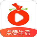 葱花视频永久免费版