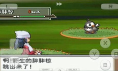 口袋妖怪心金金手指代码大全一览